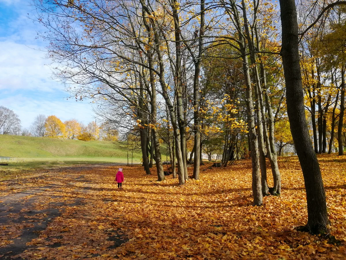 Путешествие по осенней листве, солнечный день, историческая местность, природа