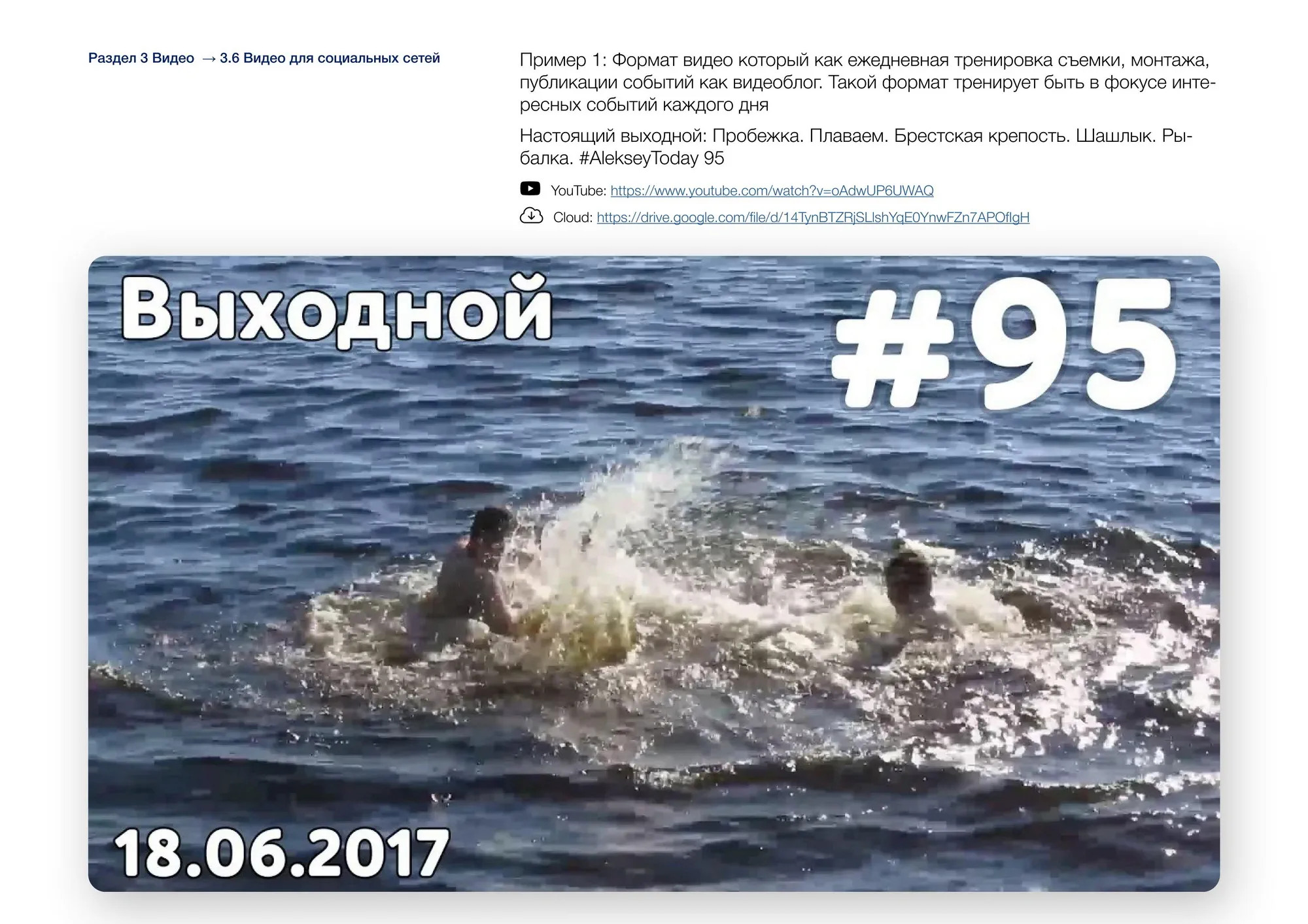 Видеоблоги (влоги)