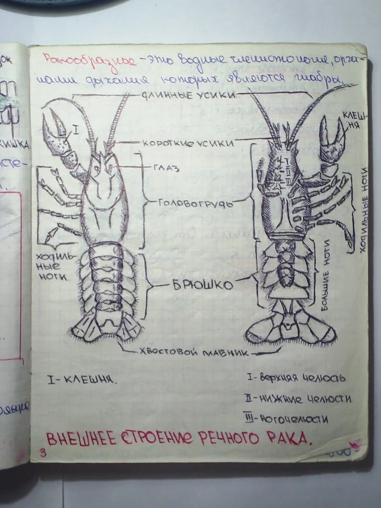 Бумажные архивы